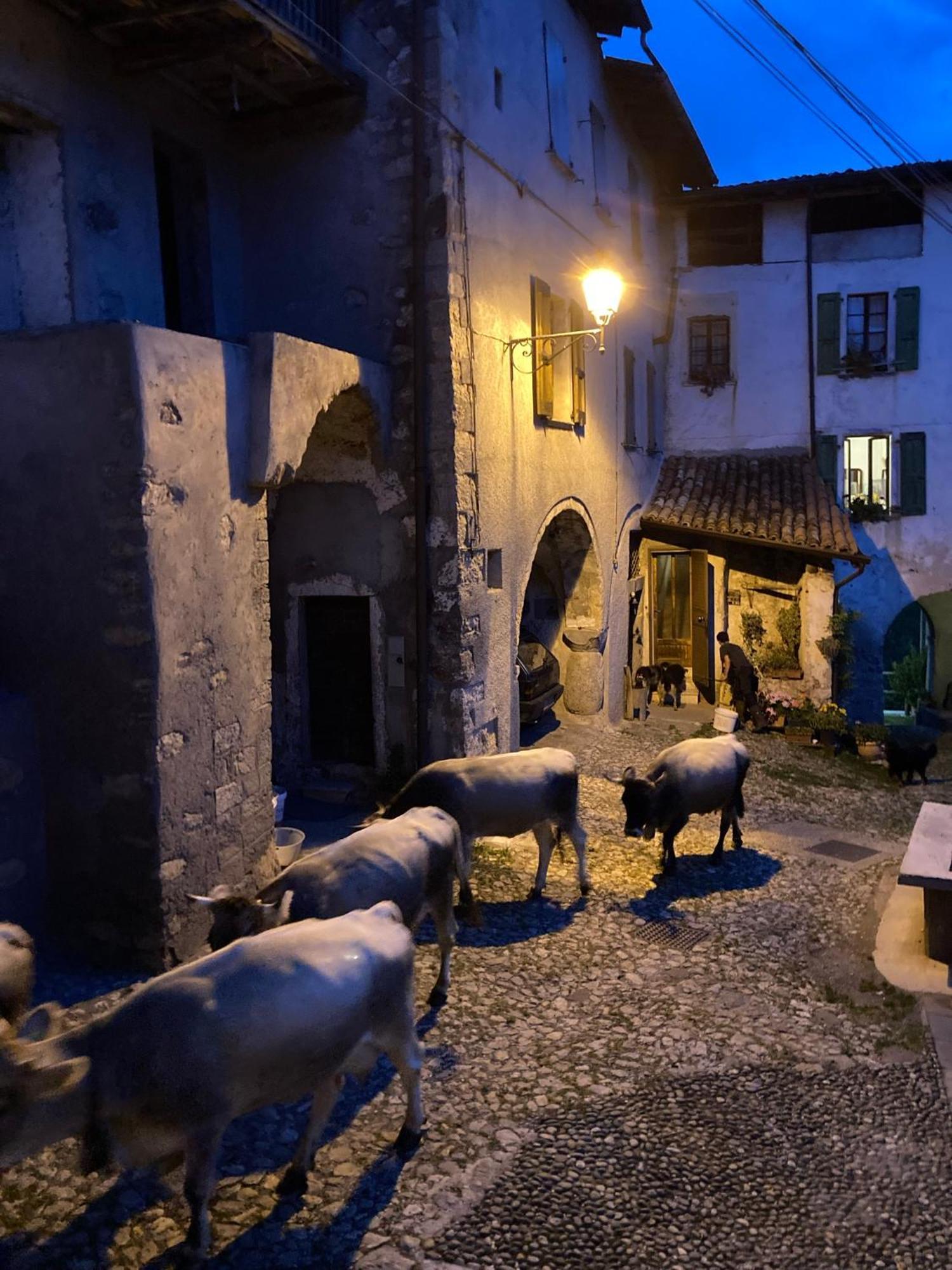 A Casa Di Gianni E Mari Bed & Breakfast Vestone Exterior foto