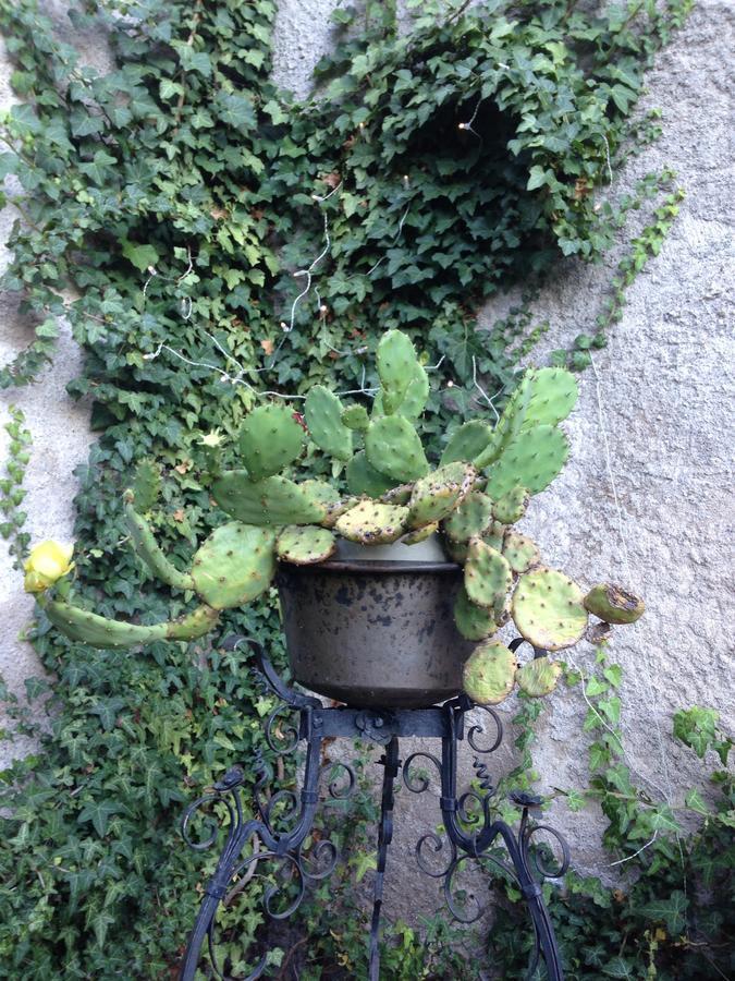 A Casa Di Gianni E Mari Bed & Breakfast Vestone Exterior foto